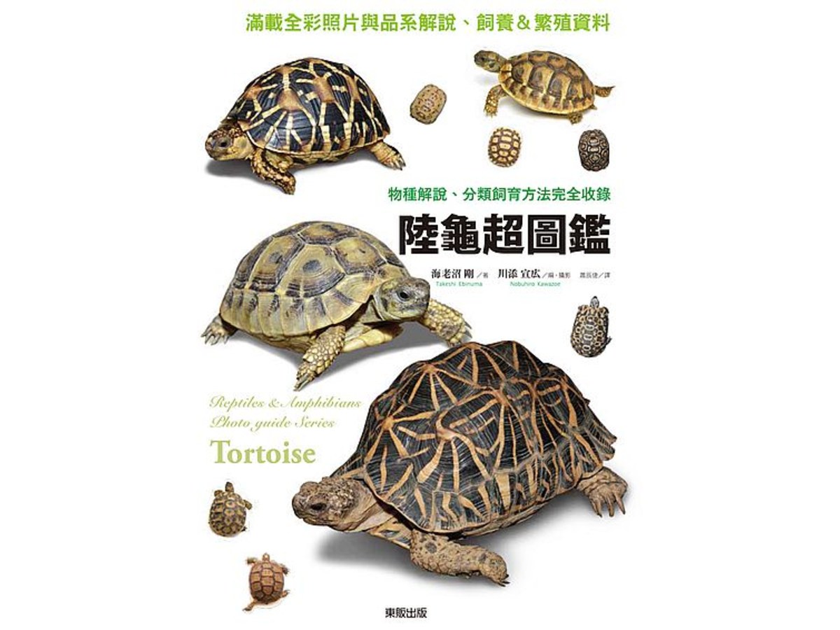 陸龜超圖鑑：物種解說、分類飼養方法完全收錄