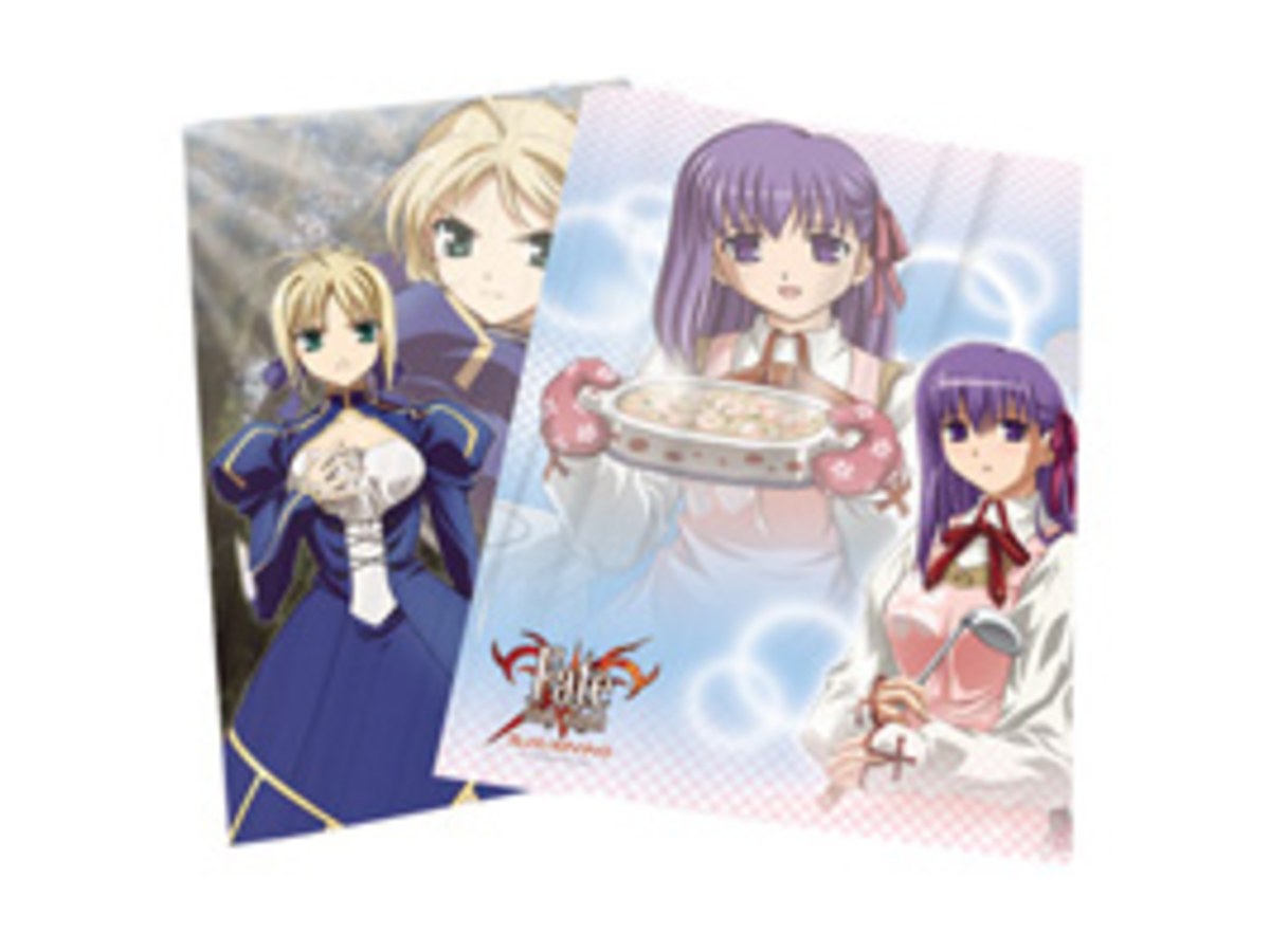 Fate / saty night L型資料夾(12)