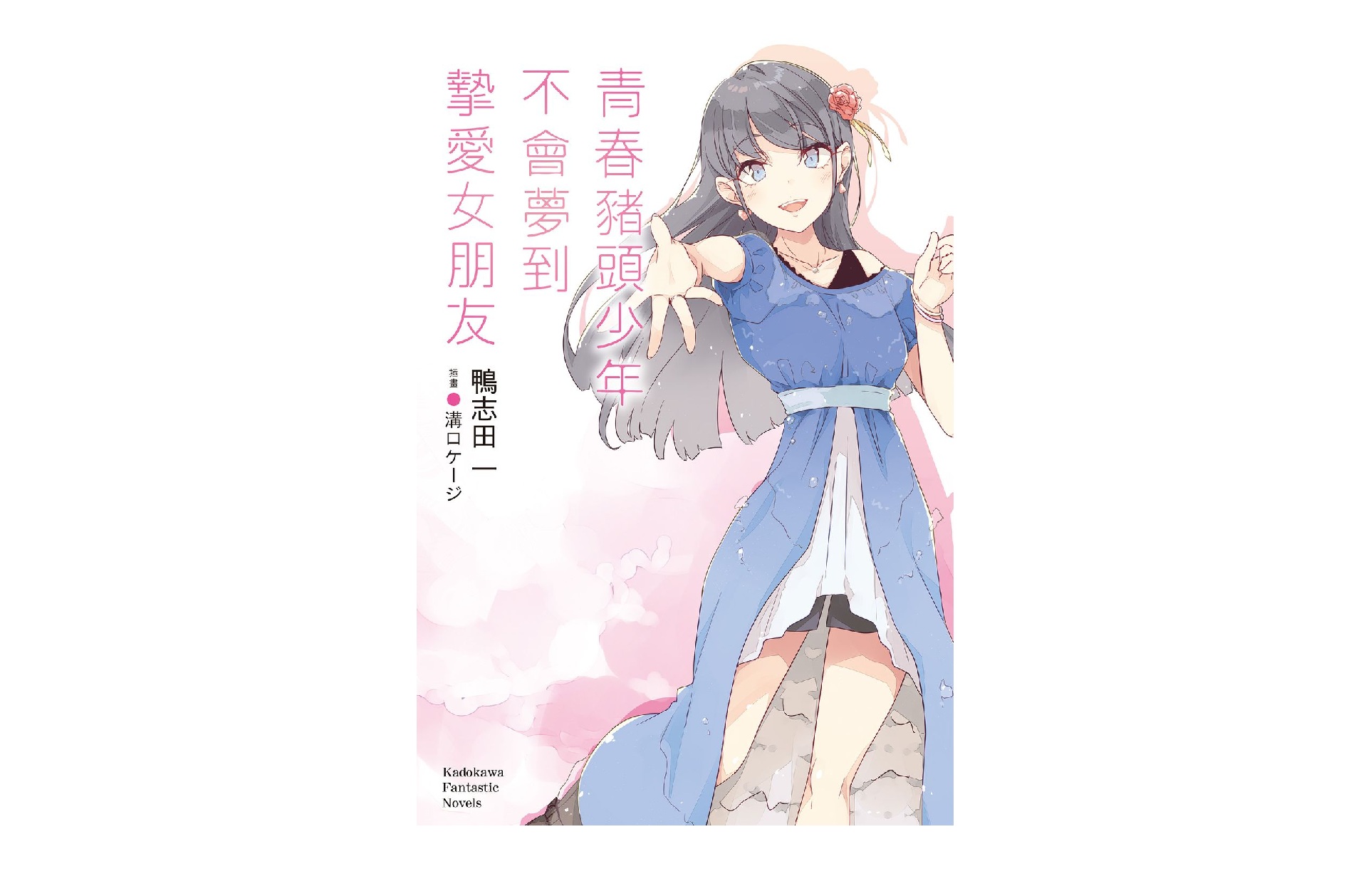 青春豬頭少年不會夢到摯愛女朋友 青春豬頭少年系列（１４）