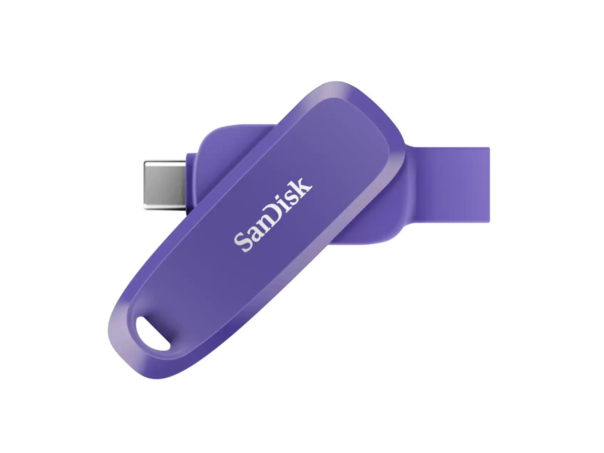 SanDisk Phone Drive USB Type-C SDDDC6 256GB 隨身碟 (紫)