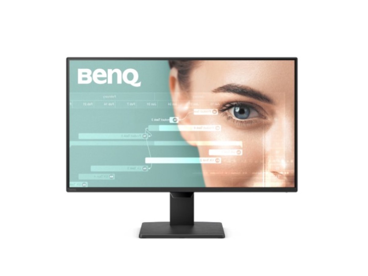 BENQ GW2491P