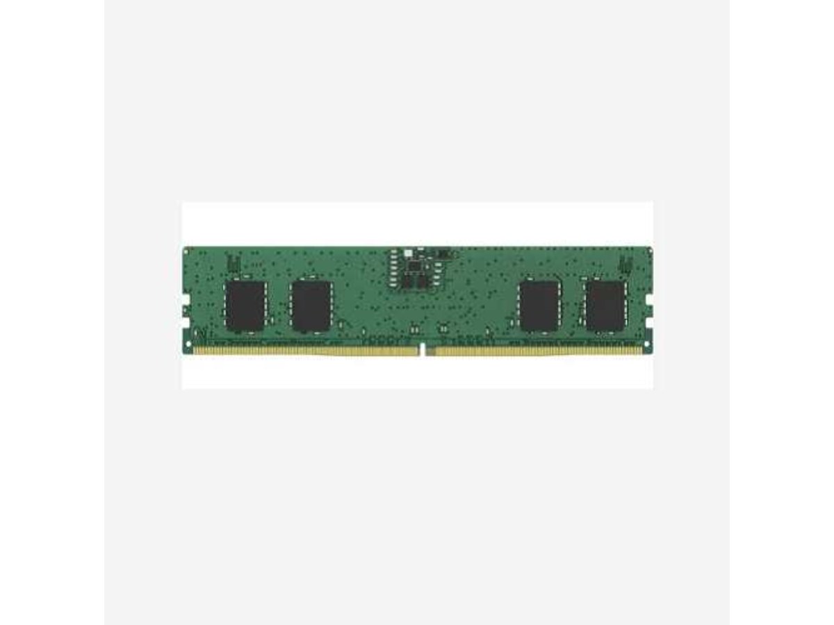 KINGSTON KCP556US6-8