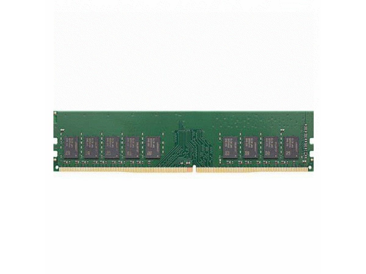 Synology D4EU01-8G