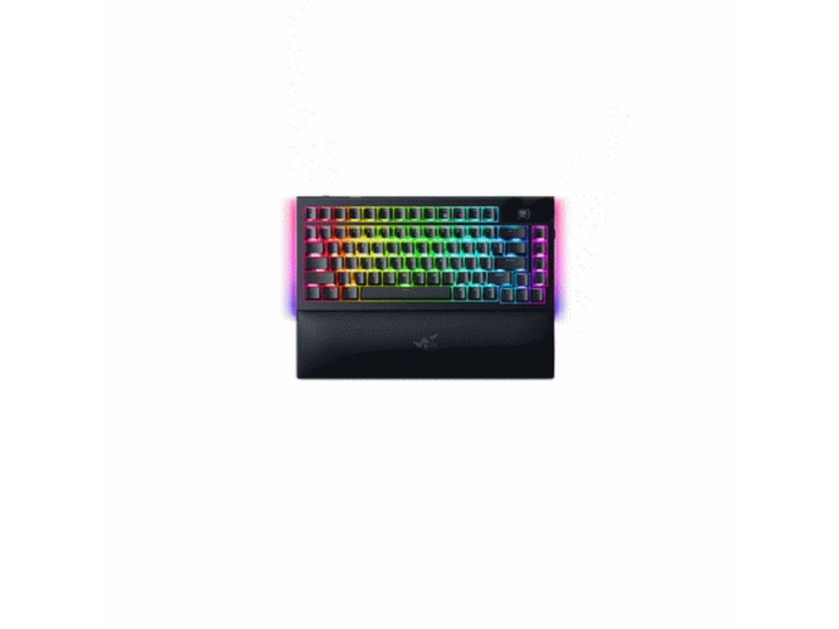 Razer RZ03-05130100-R3M1