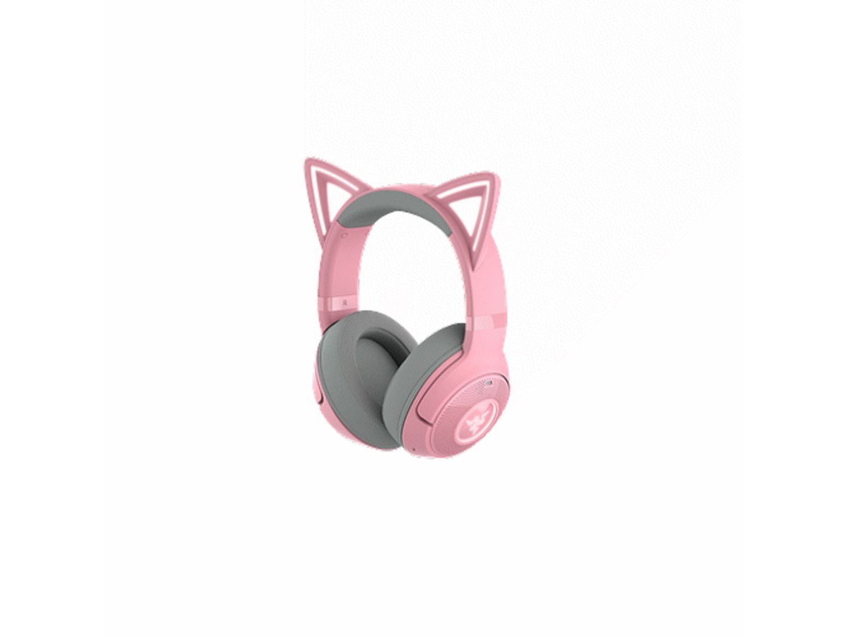 Razer RZ04-04860100-R3M1