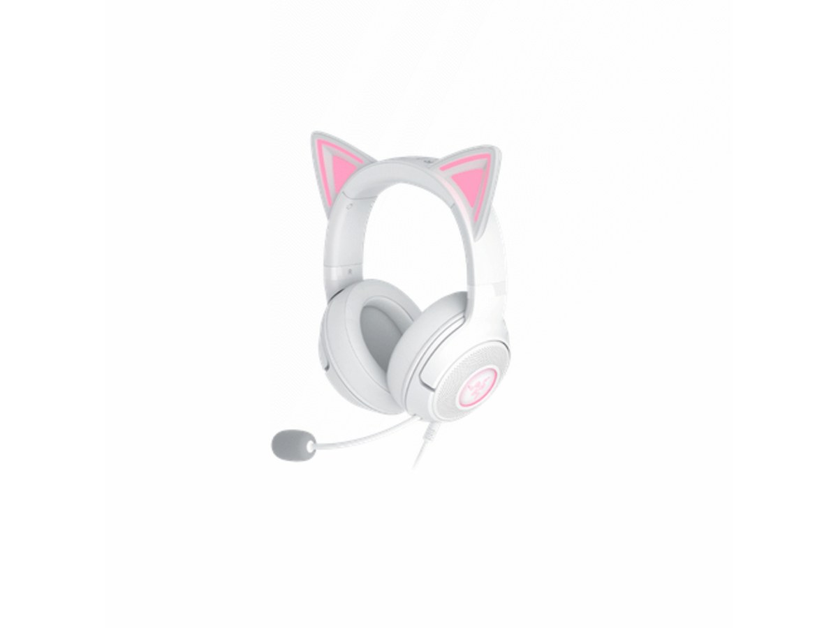 Razer RZ04-04730600-R3M1