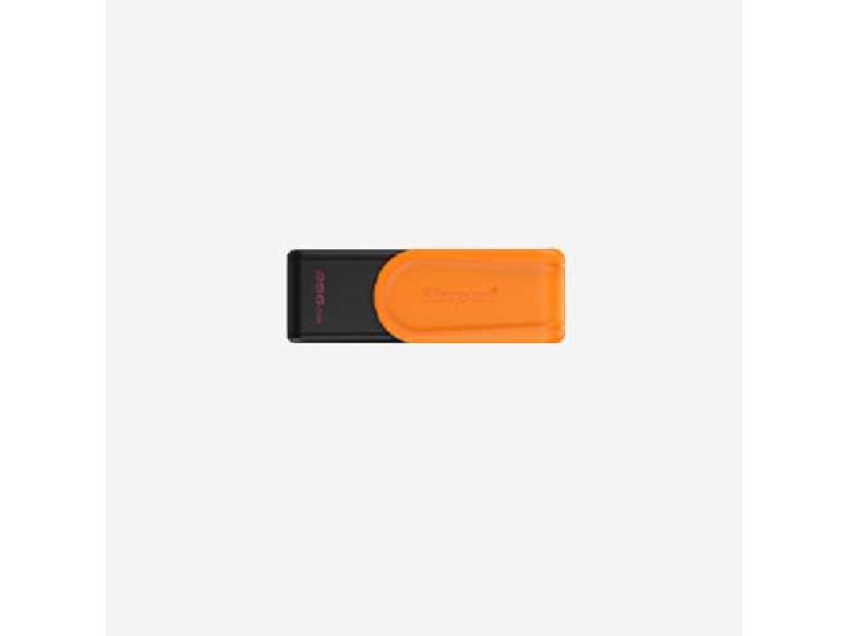 KINGSTON DTXS/256GB