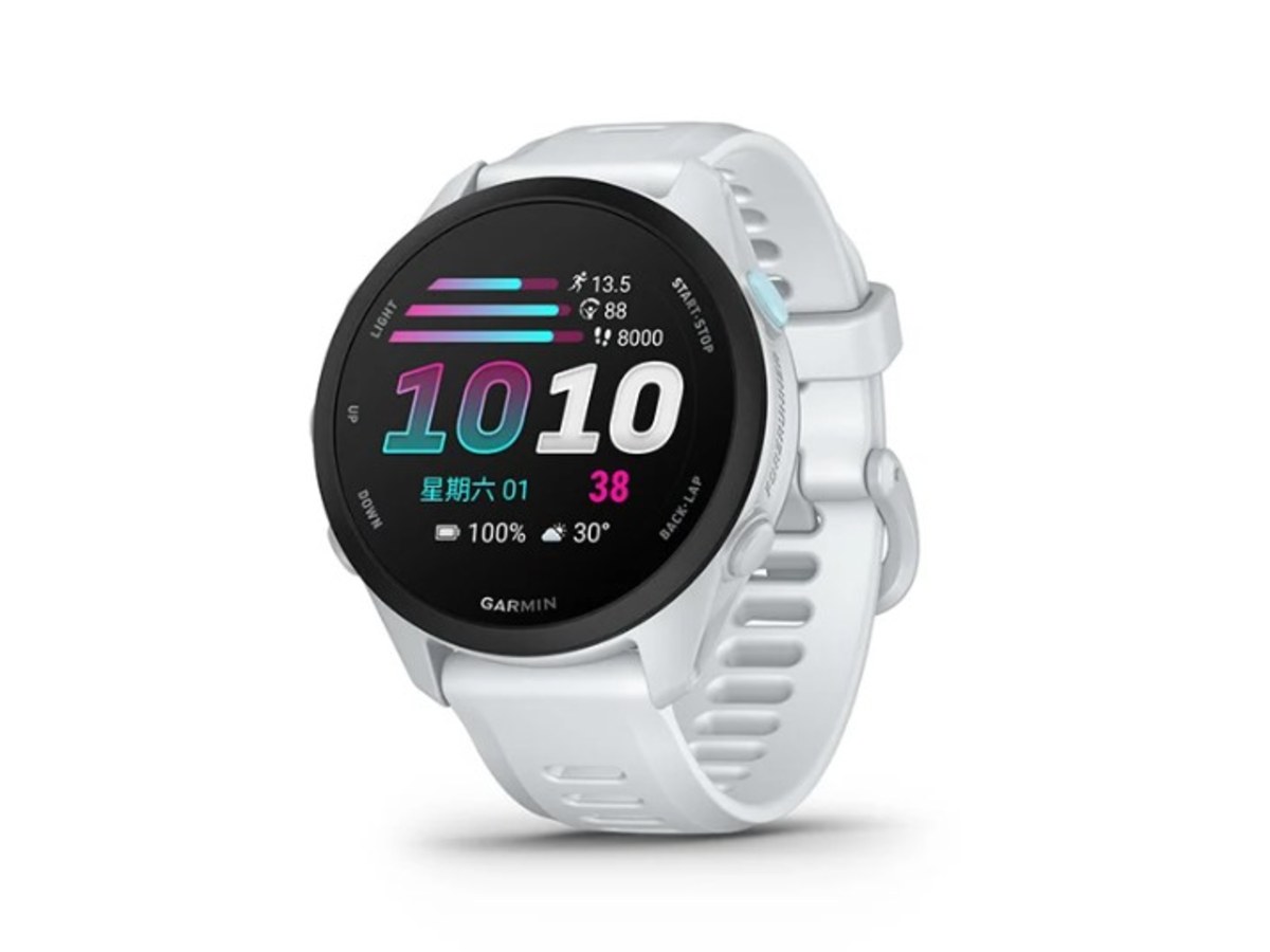 GARMIN 010-04307-11
